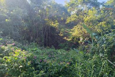 Achat Terrain Les Avirons (97425) - REUNION
