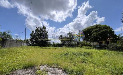 Achat Terrain Morne à l'eau (97111) - GUADELOUPE