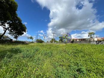 Achat Terrain Morne à l'eau (97111) - GUADELOUPE