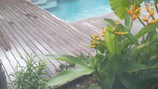 achat maison à grand baie - pereybere - pointe aux cannoniers ()