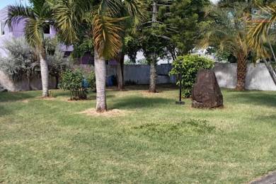 Location Maison GRAND GAUBE () - MAURICE