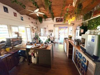 Achat  Fonds de commerce Saint-Pierre (97410) - REUNION