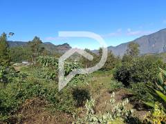 achat maison à cilaos (97413)