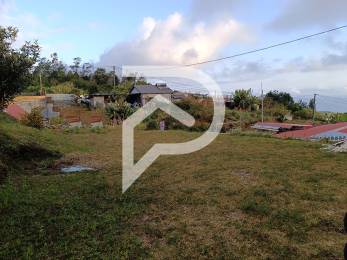 Achat Terrain Tampon (97430) - REUNION