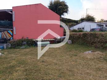 Achat Terrain Tampon (97430) - REUNION