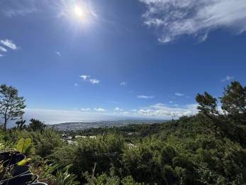 Achat Maison Saint-Denis (97400) - REUNION