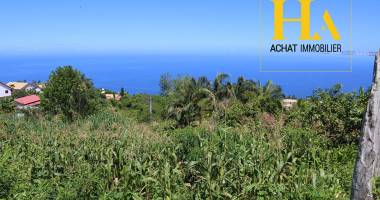 trois bassins terrain  1376 m2