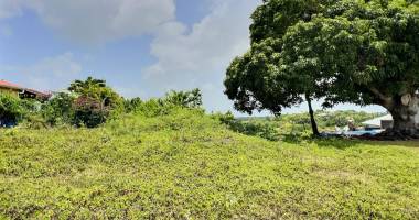 terrain à bâtir 1000m2 à le gosier grand bois