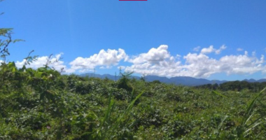 terrains nus à louer   2 000 m2 minimum   houelbourg (jarry)