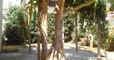 a louer villa f5 avec piscine sur le bas de la possession