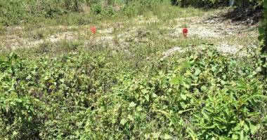 terrain 544m² à vendre au gosier