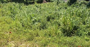 terrain 544m² à vendre au gosier