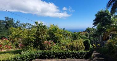 magnifique terrain à développer à la montagne