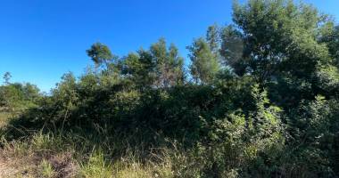 terrain   - dos d'ane