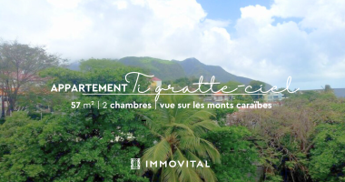 confort et praticité : appartement lumineux face aux monts caraïbes