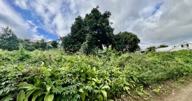 saint louis 97450 - terrain constructible - quartier agreable