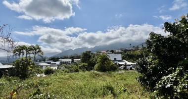 tampon 97430 - terrain bien proportionne - secteur facile d'acces