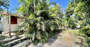 saint joseph 97480 - maison de plain pied - travaux À prÉvoir - environnement calme