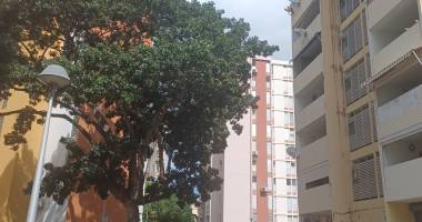 pointe.a.pitre  :  app t4 avec vue degagee