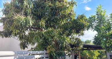 villa f4/5 centre ville de saint joseph