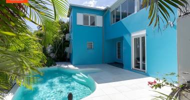 t4 intimiste avec piscine et studio indépendant - st-pierre terre sainte