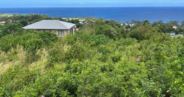 chez prmi / terrain constructible à saint-joseph : manapany !