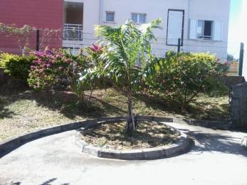 Location Appartement Sainte-Clotilde (97490) - REUNION