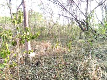 Achat Terrain Bouillante (97125) - GUADELOUPE