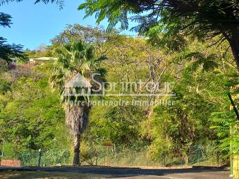 Achat Terrain Bouillante (97125) - GUADELOUPE