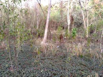 Achat Terrain Bouillante (97125) - GUADELOUPE