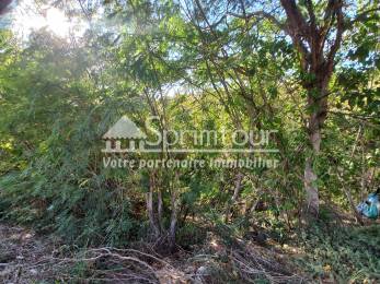 Achat Terrain Bouillante (97125) - GUADELOUPE