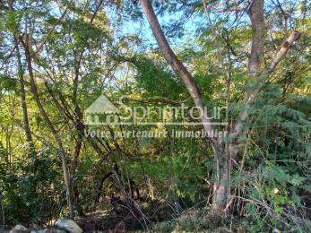 Achat Terrain Bouillante (97125) - GUADELOUPE