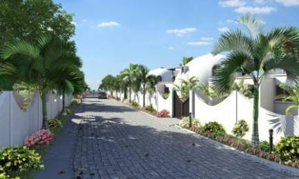 Achat PROJET RES Rodrigues () - MAURICE