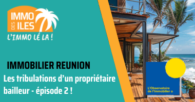 quand l'etat français veut capter 100 % de vos revenus locatifs !
